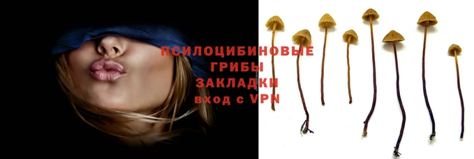 прущая мука Михайловск