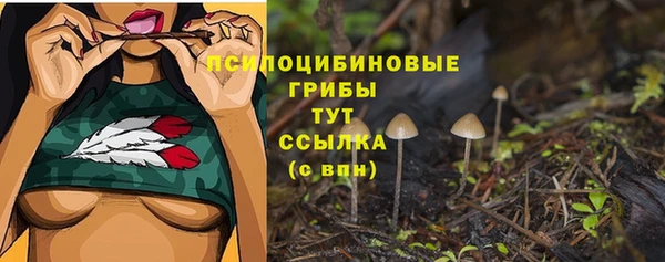 прущая мука Михайловск